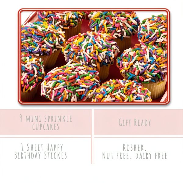 Sterns Bakery Mini Sprinkle Cupcakes Kosher Nut Free-2