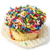 Sterns Bakery Mini Sprinkle Cupcakes Kosher Nut Free-4