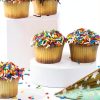 Sterns Bakery Mini Sprinkle Cupcakes Kosher Nut Free-7