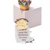 Sterns Bakery Mini Sprinkle Cupcakes Kosher Nut Free-5