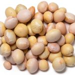 Soybeans Raw Clear Hilum Brian Severson Organic-0